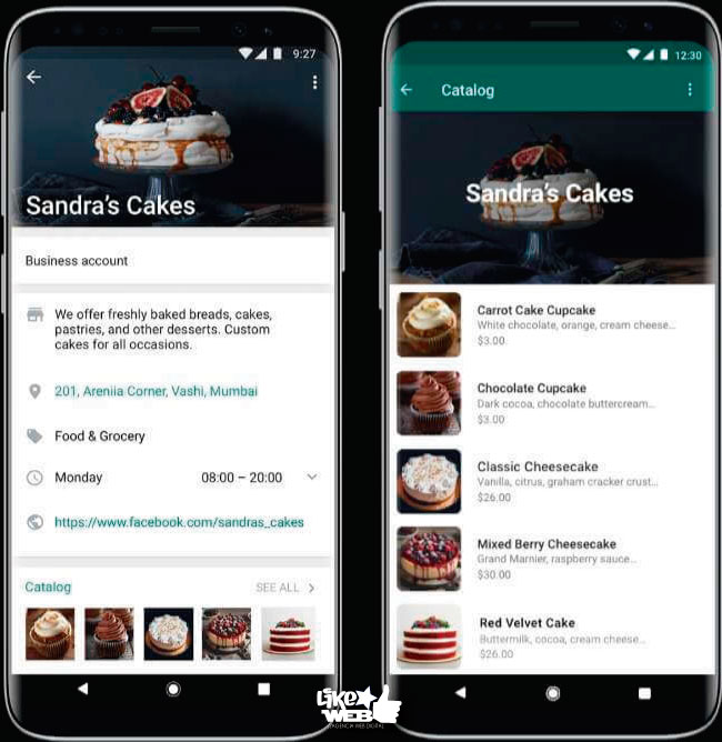LikeWeb Chile - catálogos whatsapp business -- Business - 20